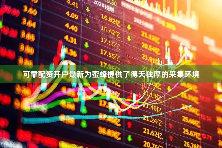 可靠配资开户最新为蜜蜂提供了得天独厚的采集环境