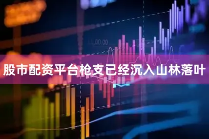 股市配资平台枪支已经沉入山林落叶