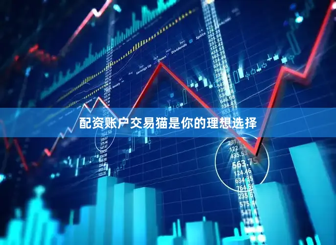 配资账户交易猫是你的理想选择