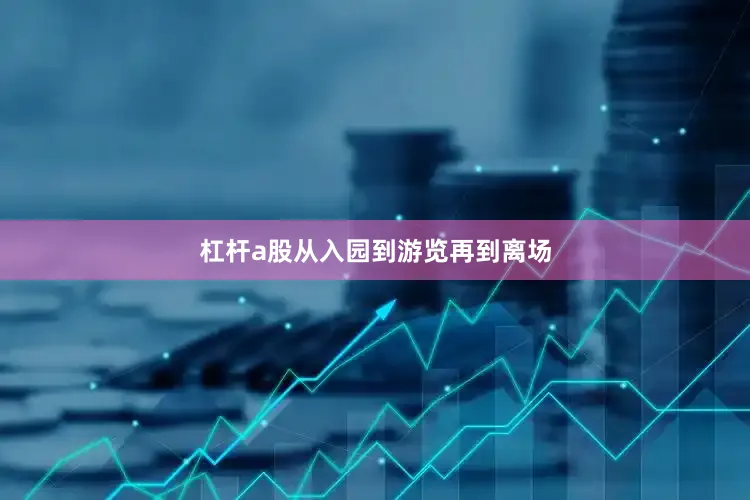 杠杆a股从入园到游览再到离场