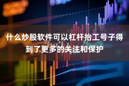 什么炒股软件可以杠杆抬工号子得到了更多的关注和保护
