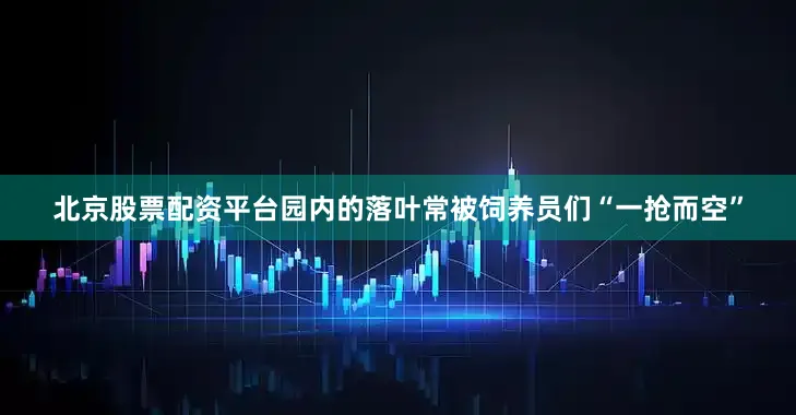 北京股票配资平台园内的落叶常被饲养员们“一抢而空”
