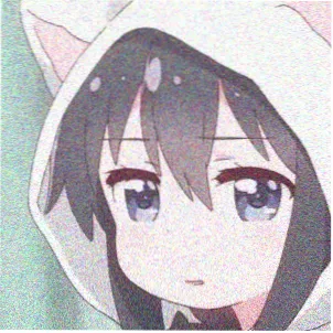 读者林女士头像，家中有两只长毛猫
